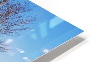 Abandoned HD Metal print