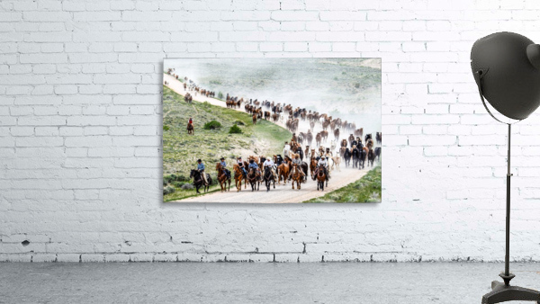 Leading the Herd Wall Preview