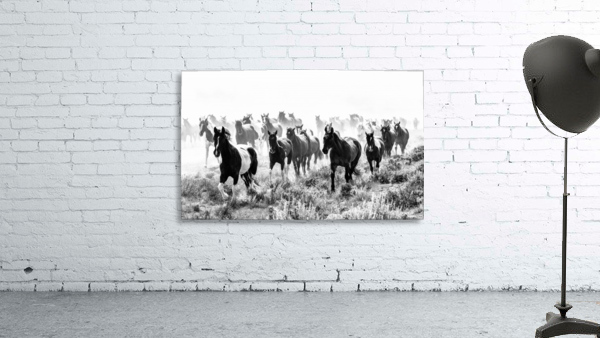 Stampede Wall Preview