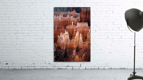 Hoodoos Bryce Canyon Wall Preview