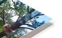 Starrs Mill HD Metal print