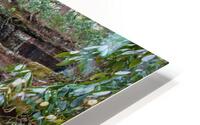 Flat Lick Falls HD Metal print