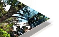Starrs Mill HD Metal print