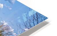 Scenic Landscape HD Metal print
