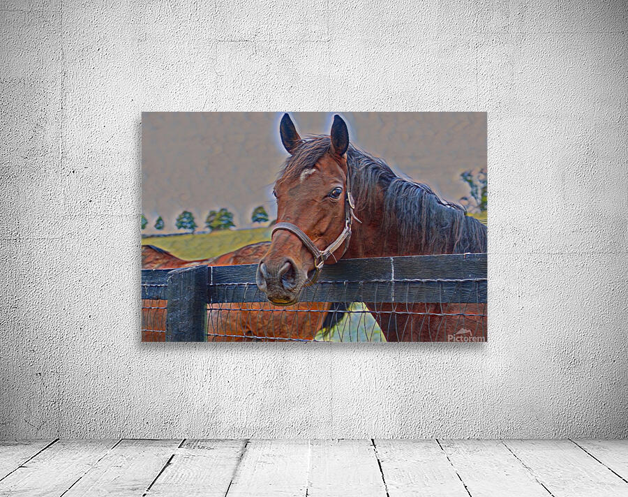 Horse Portrait Wall Preview