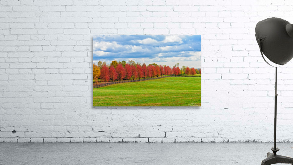 Fall Colors Wall Preview