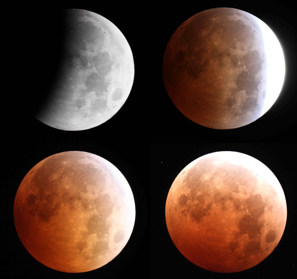 Lunar Eclipse Digital Download