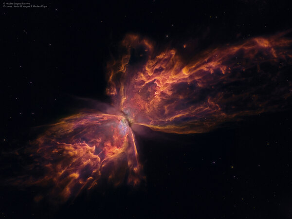 The Butterfly Nebula from Hubble Digital Download