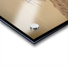 Ingenuity Mars Helicopter Acrylic print