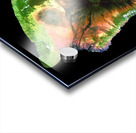 Big Island of Hawaii Acrylic print