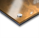 Mars Orbiter Acrylic print