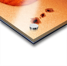 New Brown Dwarf Acrylic print