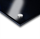 538 Bennu Acrylic print