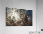 30 Doradus Nebula Acrylic Print