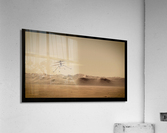 Ingenuity Mars Helicopter Acrylic Print