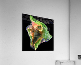 Big Island of Hawaii Acrylic Print