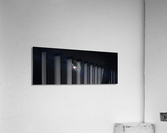 538 Bennu Acrylic Print