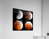 Lunar Eclipse Acrylic Print