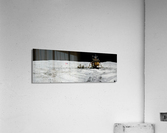 Apollo 16 Panorama Acrylic Print
