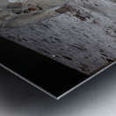 Man on the Moon Metal print