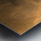 Mars Orbiter Metal print