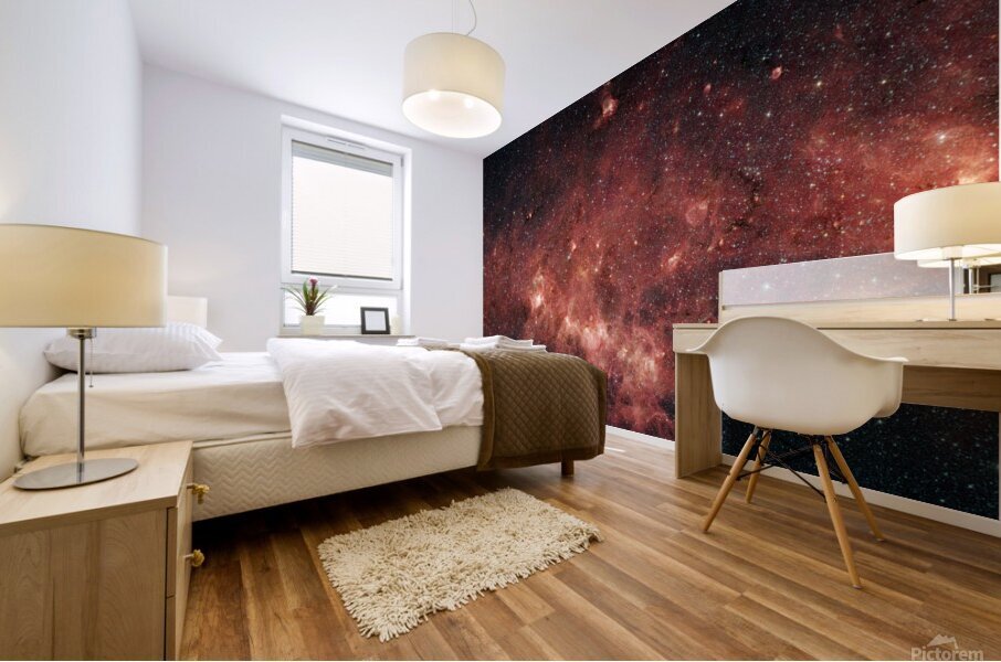 Milky Way Mural print
