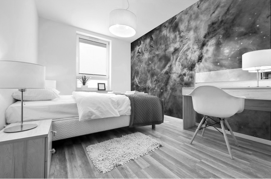 Carina Nebula in B&W Mural print