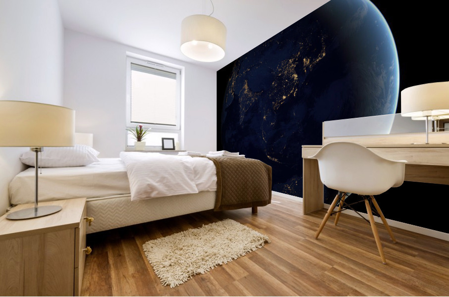 Earth at Night Mural print