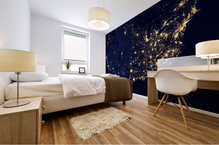 North America at Night Mural print