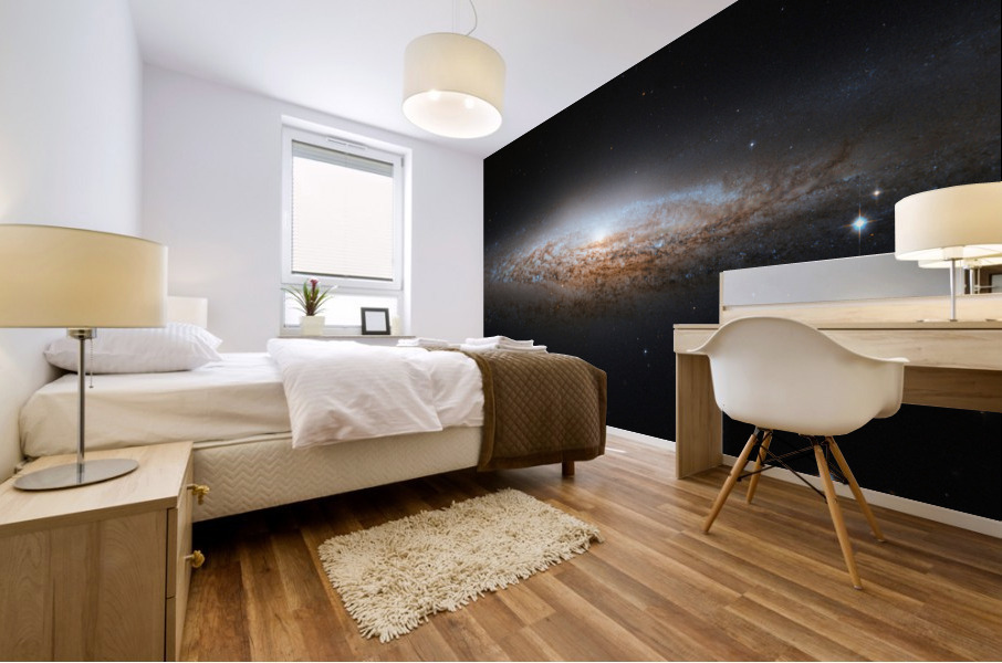 Spiral Galaxy Mural print