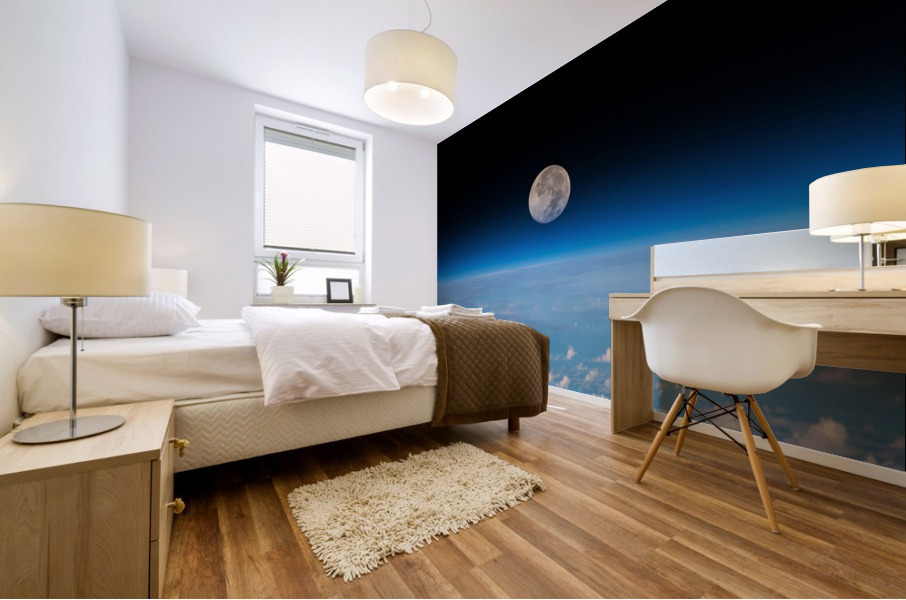 Moon from Space Mural print