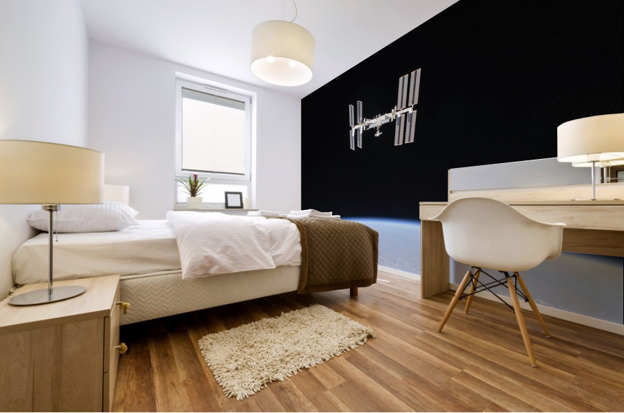 The International Space Station Mural print