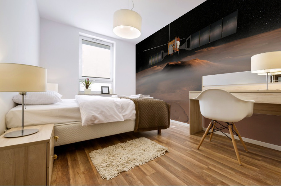 Mars Antenna Mural print