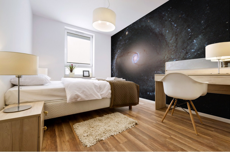 Spiral Galaxy 2 Mural print