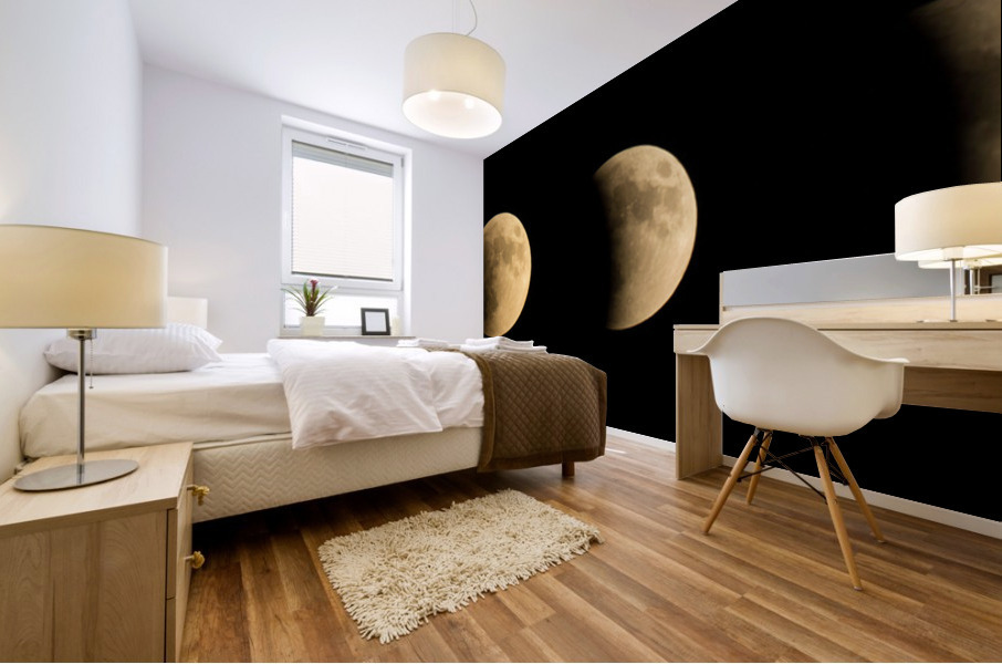 Moon Phases Mural print