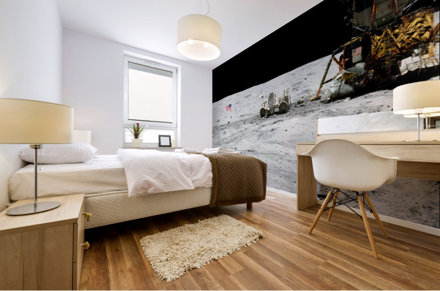 Apollo 16 Panorama Mural print