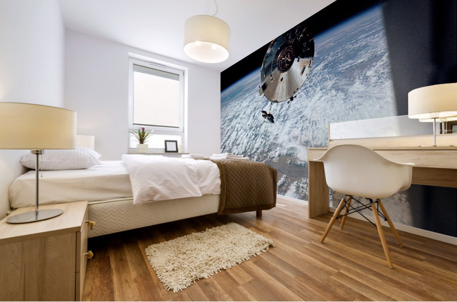 Apollo Lunar Module Mural print