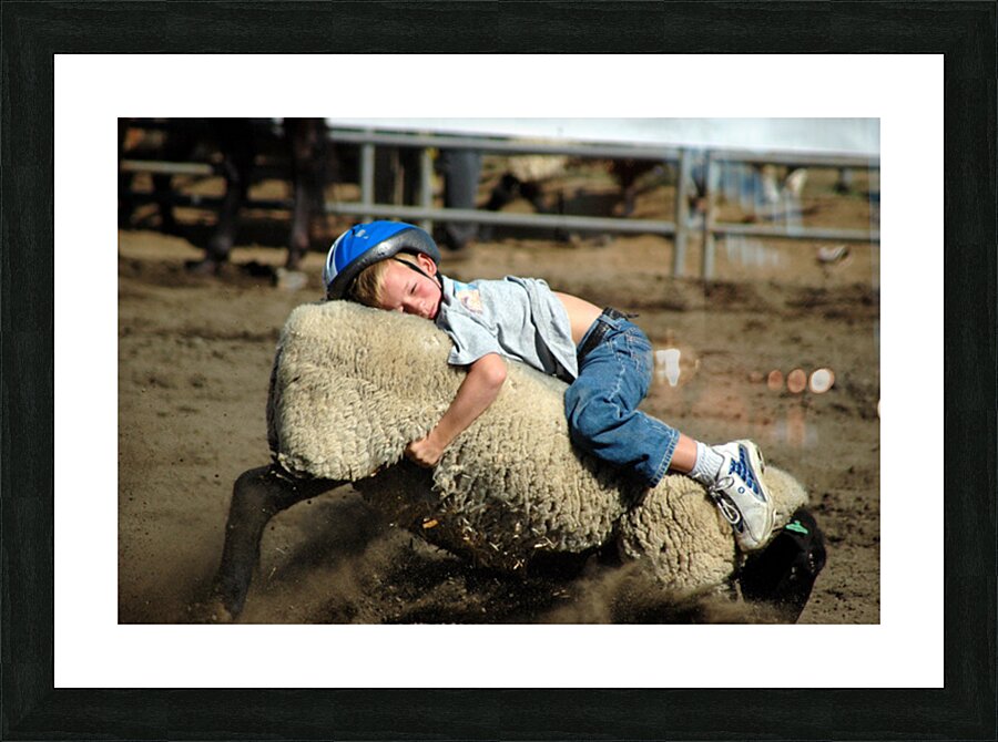 Hanging On for Dear Life – State Fair Mutton Busting Picture Frame print