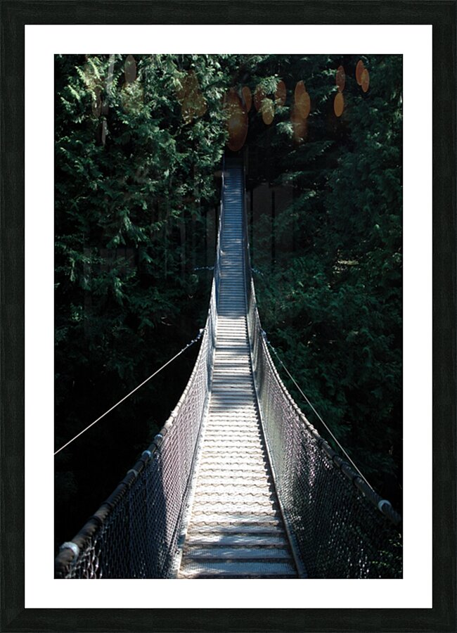 Suspension Bridge Into the Forest Picture Frame print