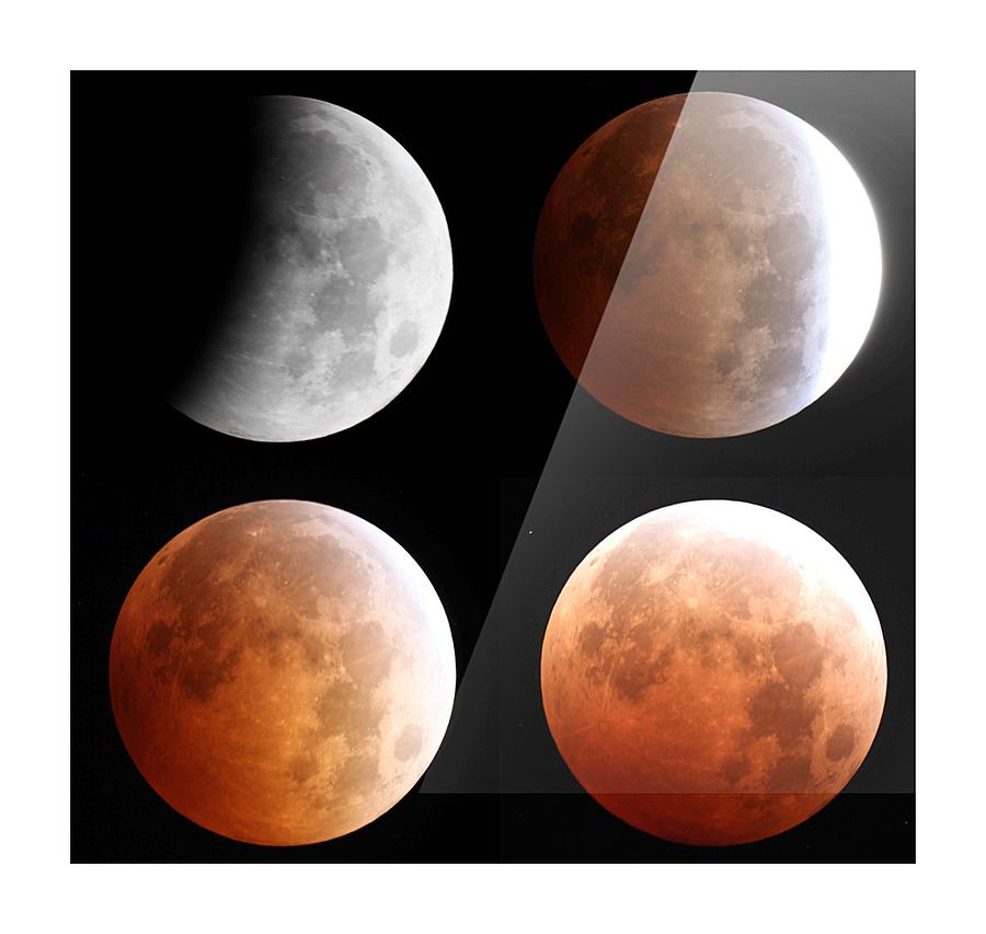 Lunar Eclipse Picture Frame print