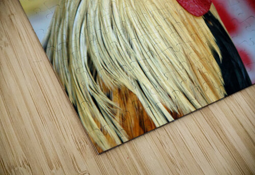 Prize Rooster – Washington State Fair Ingvar Grimsmo puzzle