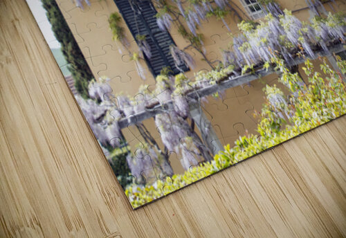 Wisteria in Bloom – Italian Villa Ingvar Grimsmo puzzle