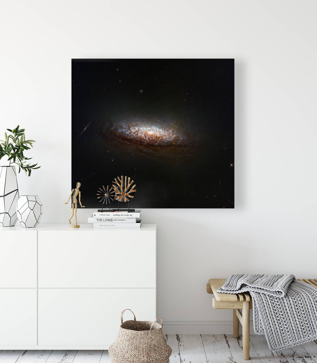 NGC 1546 Reproduction