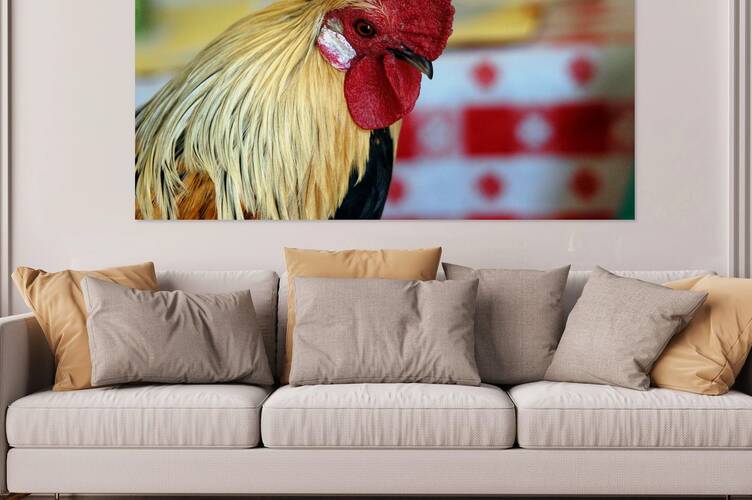 Prize Rooster – Washington State Fair Reproduction