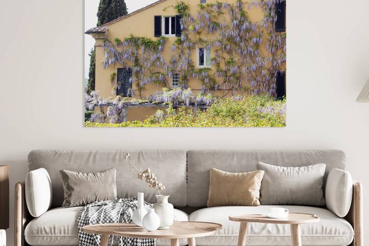 Wisteria in Bloom – Italian Villa Reproduction
