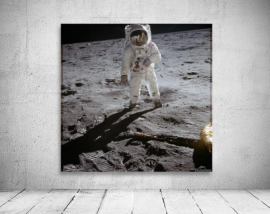 Man on the Moon Wall Preview