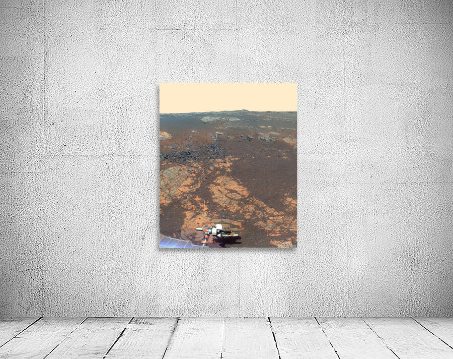 Mars Rover Wall Preview