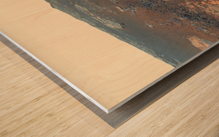 Mars Rover Wood print