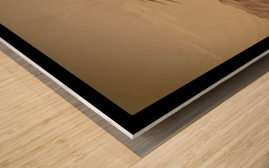 Ingenuity Mars Helicopter Wood print