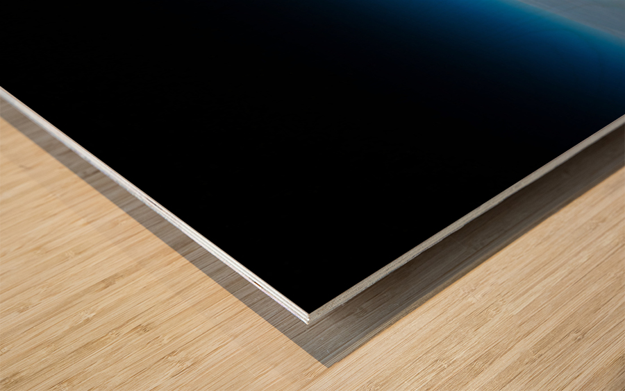 Moon from Space Wood print